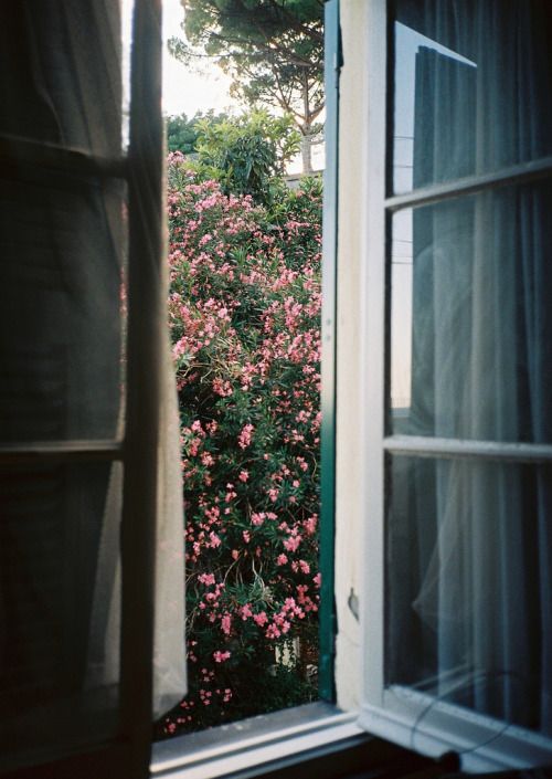 69a8b46f11695960d74d42be983535e0